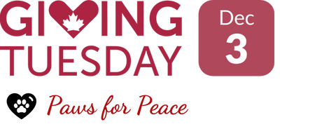 Giving Tuesday: December 3rd 2024. Paws for Peace